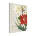 thumbnail image 2 of Trademark Fine Art 'Joyful Tidings II on Wood' Canvas Art by Sue Schlabach, 2 of 3