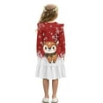 thumbnail image 2 of FKELYI Ruffled Long Sleeve Dress for Girl Christmas Reindeer Snowflake Print A-Line Pleated Twirly Dress Crew Neck Flowy Holiday Dresses for Kids Fall Outfits, 9-10 Y, 2 of 6