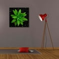 thumbnail image 6 of Epic Graffiti 'The Green Bloom Crop' by Epic Portfolio Giclee Canvas Wall Art, 26"x26", 6 of 8