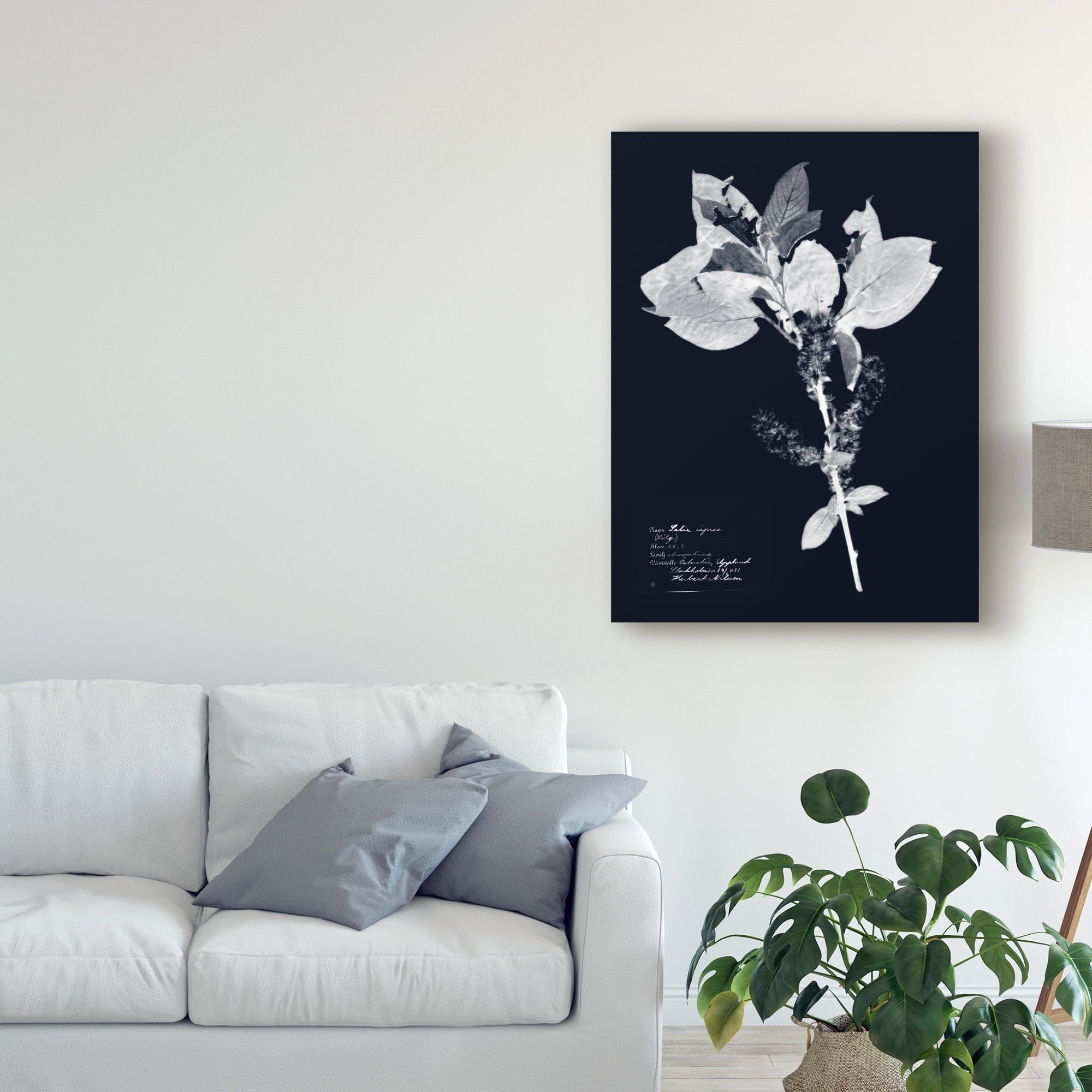 Trademark Fine Art 'Impressions on Indigo I' Canvas Art by Vision Studio