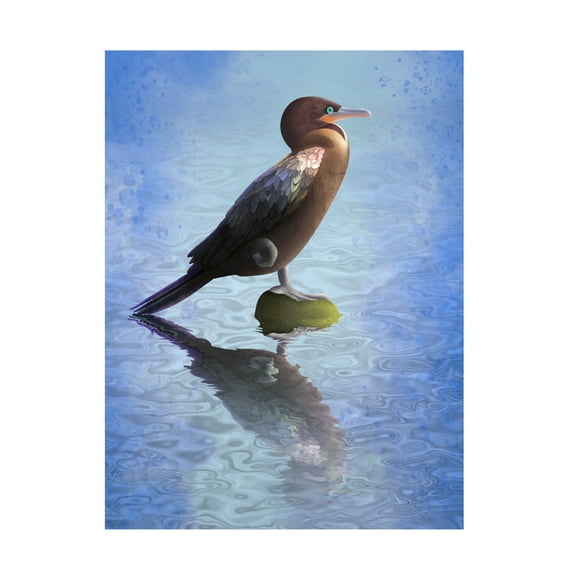 Trademark Fine Art Franco Caballero River Bigua Canvas Wall Art