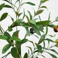 thumbnail image 6 of Nearly Natural Olive Artificial Potted Tree - 3' - Green, 6 of 6