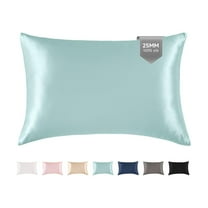 THXSILK 25 Momme Silk Pillowcase, Both Side 100% Mulberry Silk Pillowcase for Hair and Skin, Natural Mulberry Silk Dual Sides with Hidden Zipper, California King(20"x40"), Light Blue