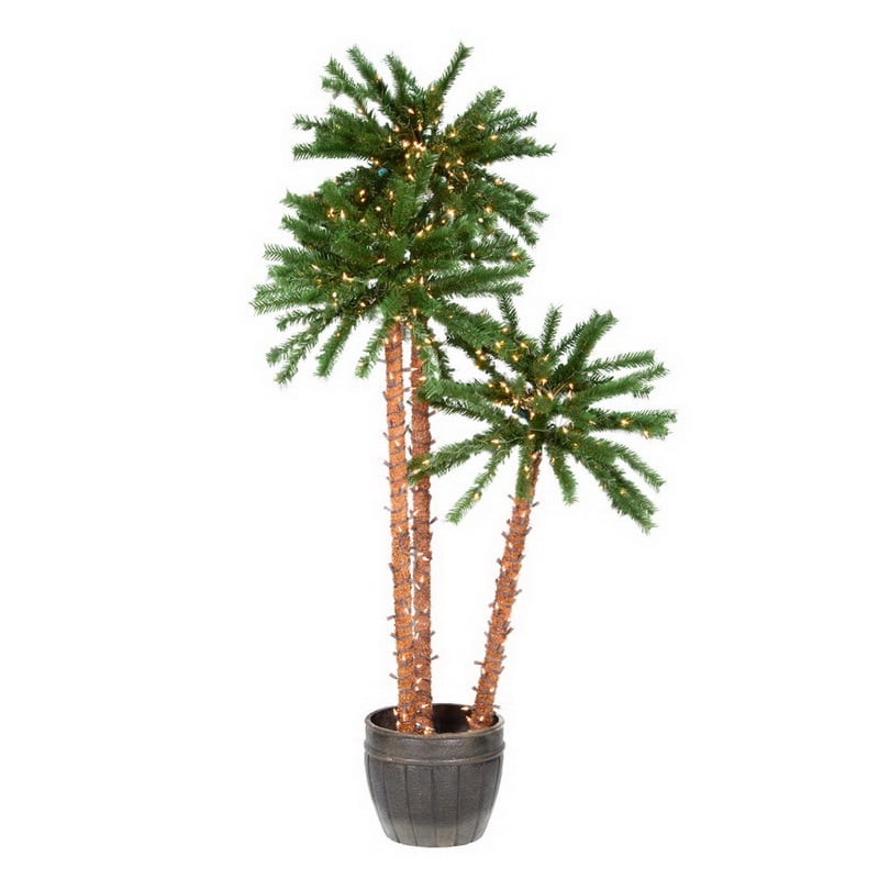 456' Potted Outdoor Palm Trees 500CL