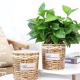 thumbnail image 1 of CIMAXIC 2 Pcs Pot de Fleurs Rond Design Tissé pour Jardinage avec Absorption Automatique Pot en Plastique Marron Clair, 1 of 8