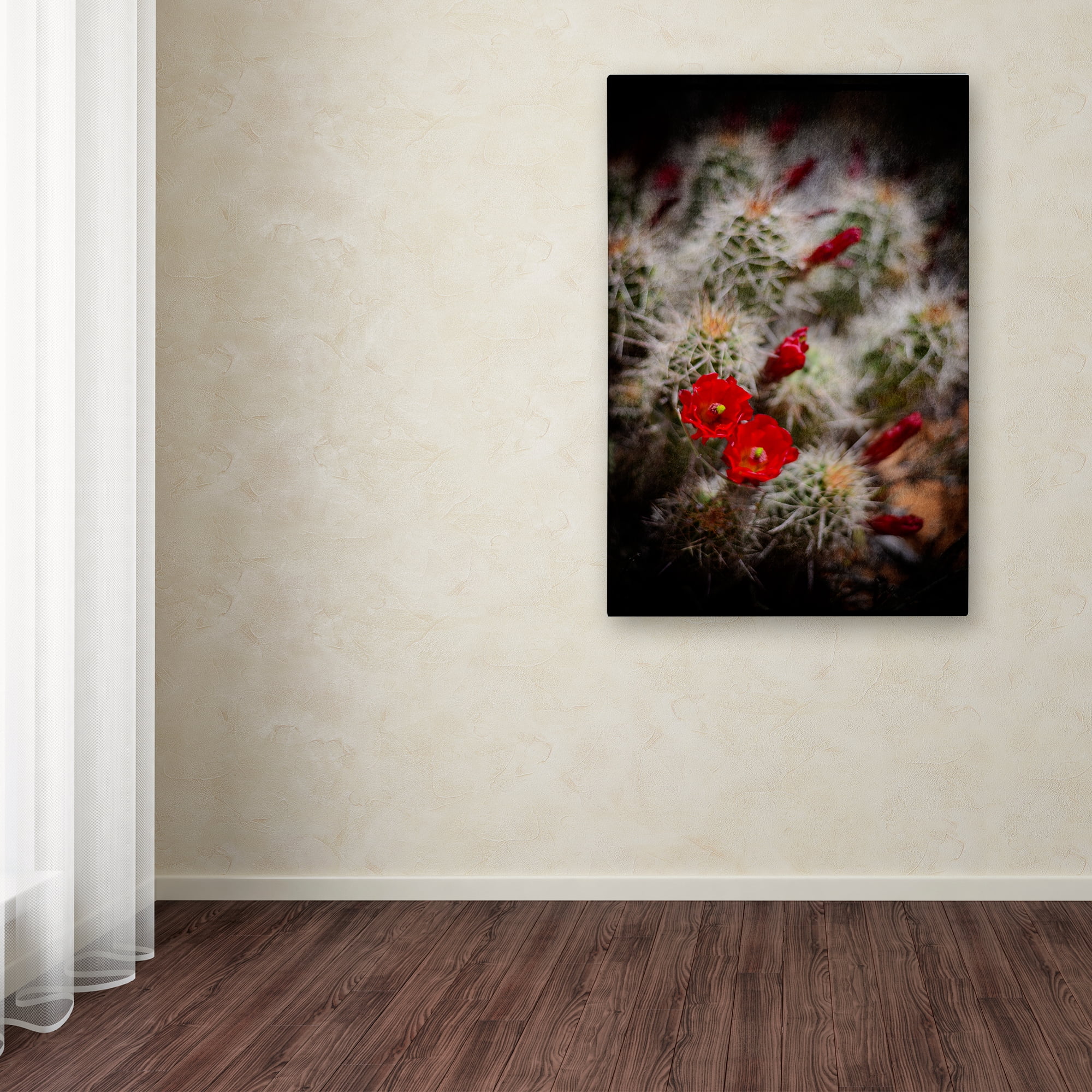 Trademark Fine Art 'Desert Flower 6' Canvas Art by LightBoxJournal
