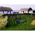 thumbnail image 2 of Posterazzi DPI1815843LARGE Traditional Cottages Co Galway Ireland Poster Print by The Irish Image Collection, 34 x 26 - Large, 2 of 4