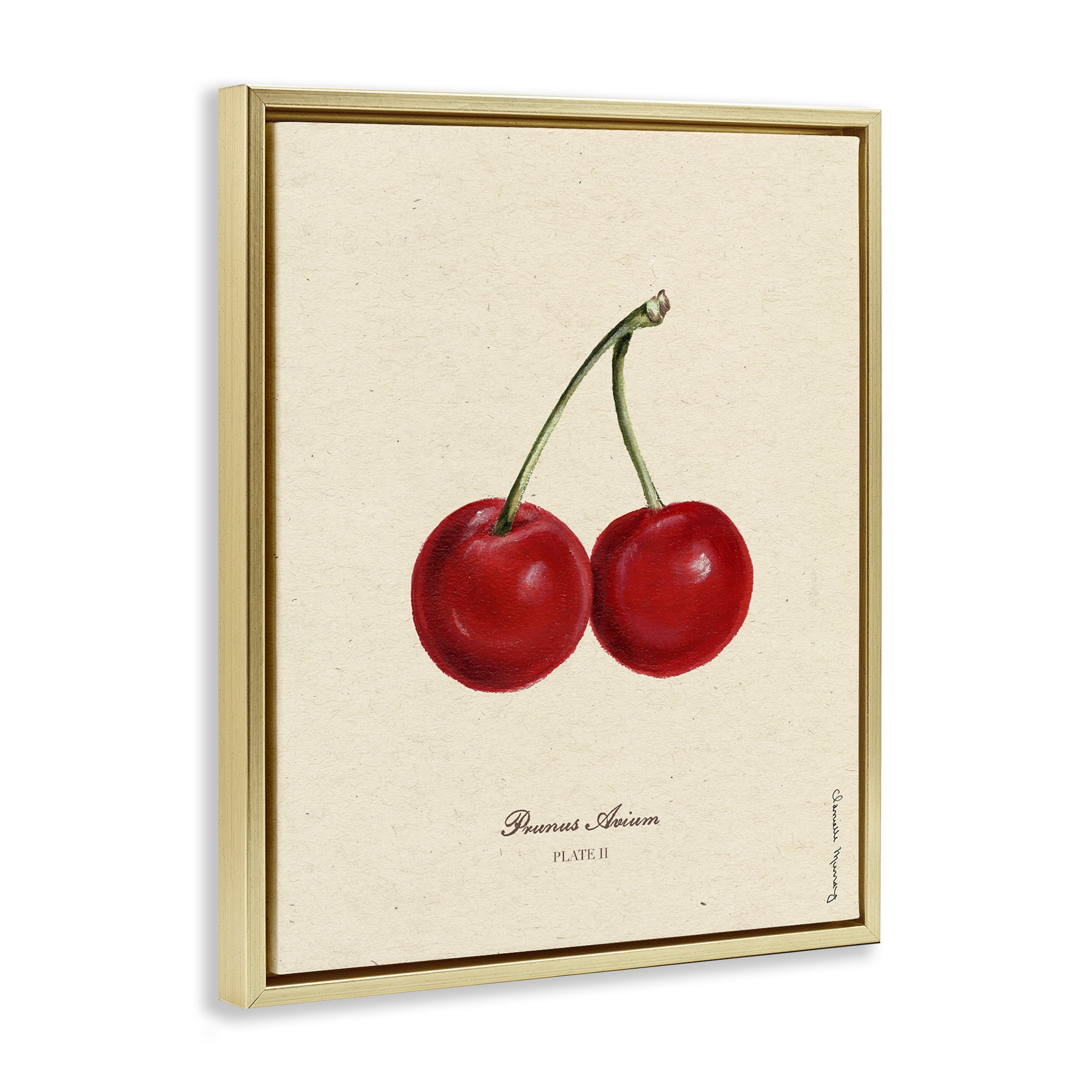Stupell Industries Cherry Fruit Portrait Gold Framed Floater Canvas Wall Art, design by Danielle Murray