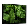 thumbnail image 2 of Designart "Macro View of Green Food" Food & Beverage Floater Framed Canvas Art Print, 2 of 7