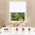 thumbnail image 6 of Allesin zen Blackout Roller Shades for Windows (White,20"W x 72"H), 6 of 9
