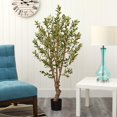 thumbnail image 4 of 5' Olive Silk Tree, 4 of 7