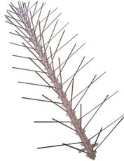 Bird X Bird Spikes, Stainless Steel, Regular Width, 100'