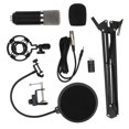 thumbnail image 3 of 700 Capacitance Microphone Online Karaoke Live Recording Microphone for Phone Computer, 3 of 4