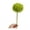 Light Green, variant on Walbest Artificial Flower Artificial Dianthus S tem Realistic Green/orange/yellow Fake Flower for Vase Home Office Wedding Decoration Flexible St em for Table
