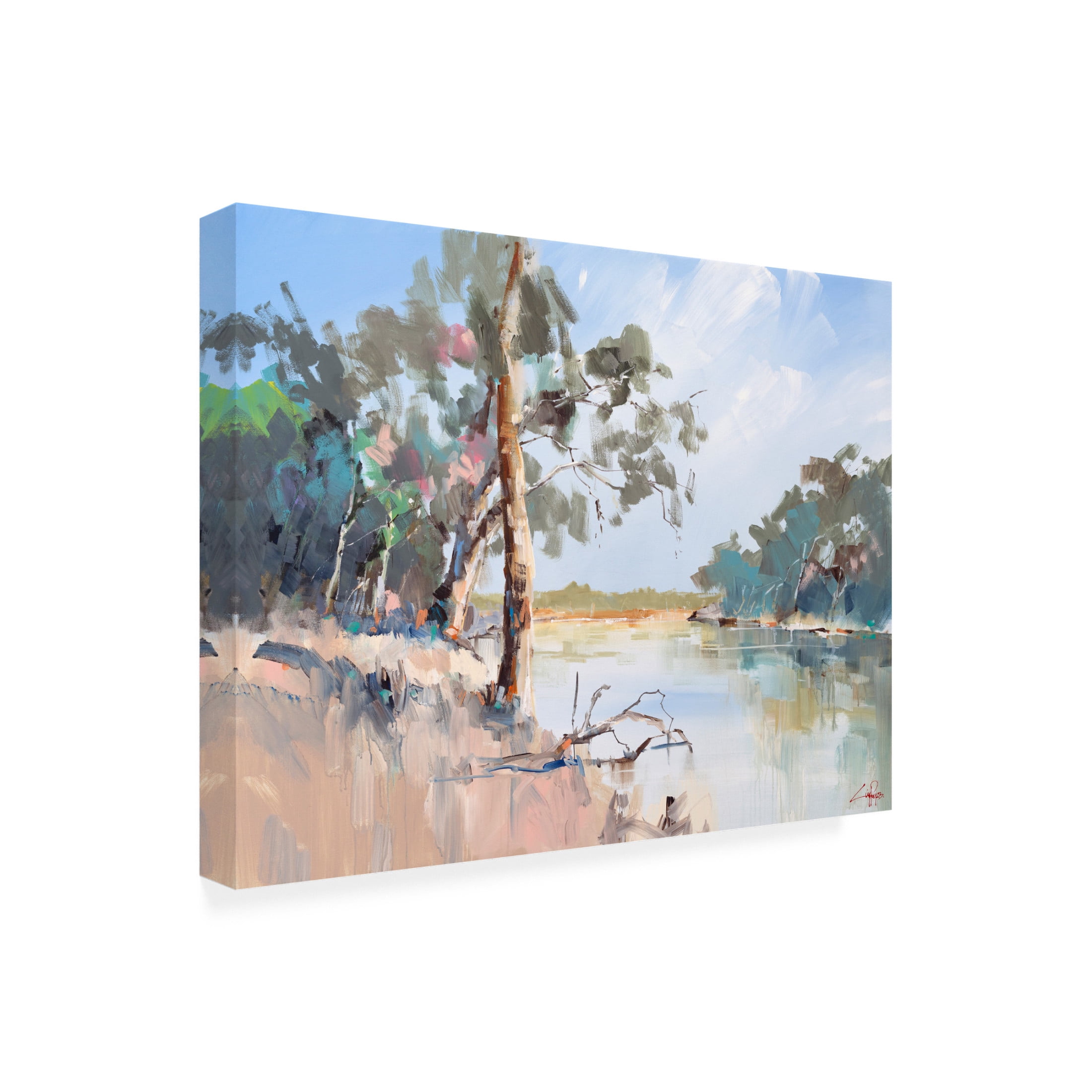 Canvas Wall Art - Craig Trewin Penny 'Summer River, The Murray 2' Wall Art for Living Room, Bedroom, or Office Décor by Trademark Fine Art - 19 x 14 Inches