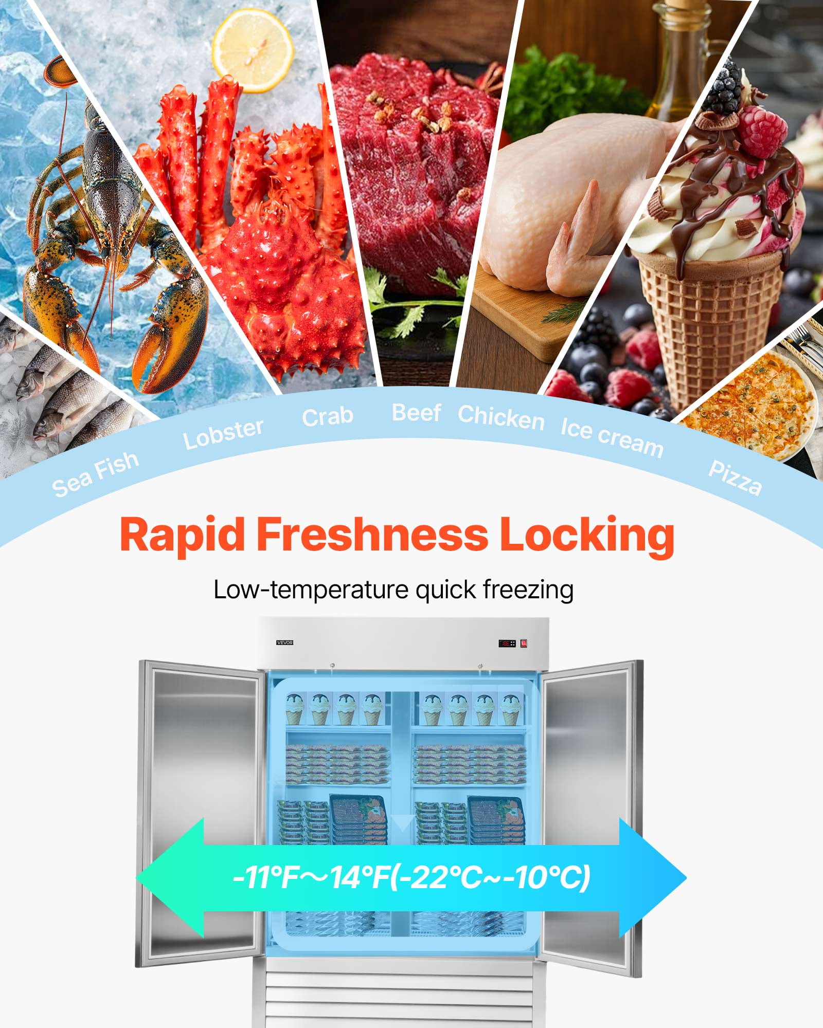 VEVOR Commercial Reach-In Freezer 54" W, 44 Cu.Ft Stainless Steel Upright Freezer with Double Doors, Auto-Defrost, 8 Adjustable Shelves, -11 to 14℉ Temp Control, ETL Certified