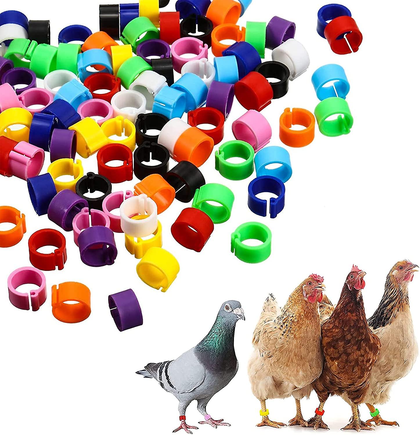 NinebeCJ Taian 200 Pieces Bird Rings Pigeon Rings, Quail Rings Chicken Rings, Bird