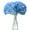 Blue, variant on Matoen12 Realistic Simulated Hydrangea Flowers 1 Pack, Plastic Artificial Flowers Large Faux Globe Flower, Home Decor for Hand Held Banquet Floral Centerpieces Arrangements, Champagne