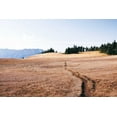 thumbnail image 2 of Marshall, Laura 24x17 White Modern Wood Framed Museum Art Print Titled - Hurricane Hill I, 2 of 4
