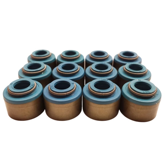 Dodge Dakota RAM Durango 3.9L 4.0L V6 OHV VITON VALVE SEALS - Set of 12 - NEW!