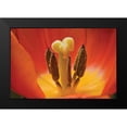 thumbnail image 2 of Peterson, Lee 14x11 Black Modern Framed Museum Art Print Titled - Tulip Up Close I, 2 of 5