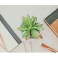thumbnail image 4 of Star Wars Boba Fett Helmet 3-Inch Ceramic Mini Planter With Artificial Succulent, 4 of 6