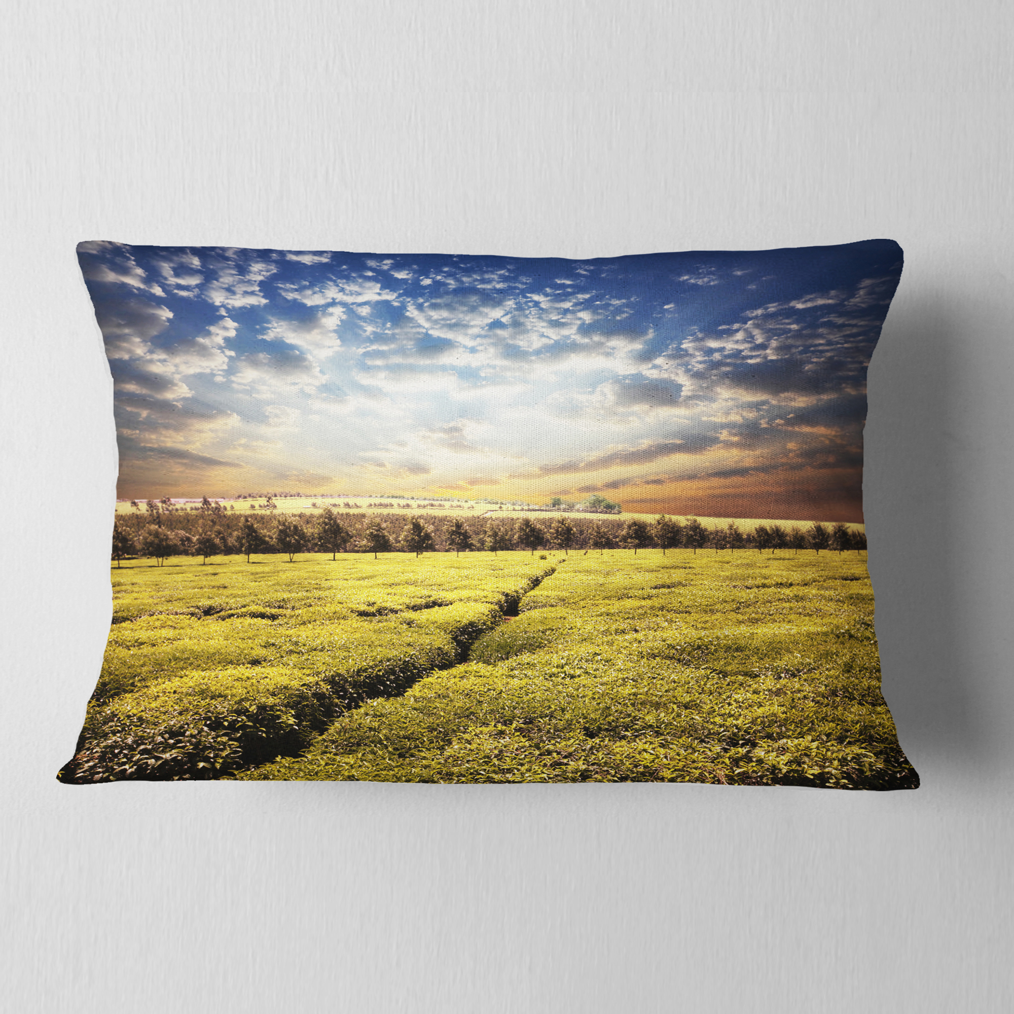 Designart Tea Plantation under Cloudy Sky - Landscape Wall Throw Pillow - 12x20
