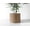 Mint, variant on Cheo Planter Pot, Mint, Modern Indoor Plant Pot