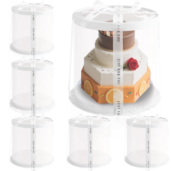 Contenedor de comida JCD 6 cajas redondas transparentes para tartas de 22 x 24 cm