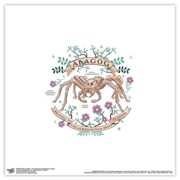 Gallery Pops Harry Potter - Flora And Fauna Herbology Aragog Wall Art, Unframed Version, 12" x 12"