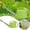 Green - One Size, variant on Large Capacity Watering Can Long Spout Irrigation Pot Indoor Garden Pouring Gear Outdoor Flower Watering Utensil Courtyard Maintenance Tool Household Horticulture Supply ,Blue - One Size