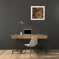 thumbnail image 3 of Williams, Todd 26x26 White Modern Wood Framed Museum Art Print Titled - Floral Abstract II, 3 of 4