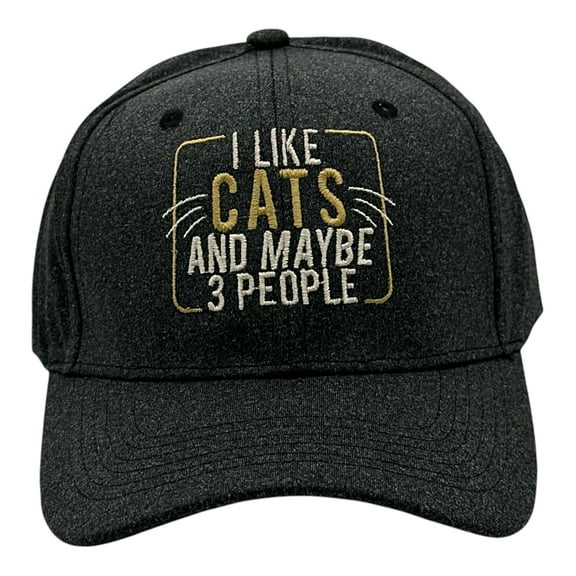 I Like Cats and Maybe 3 People Hat Funny Sarcastic Kitten Graphic Novelty Cap