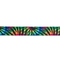 thumbnail image 4 of Country Brook Design® 3/4 inch Tie Dye Stripes Polyester Webbing, 5 Yards, 4 of 5