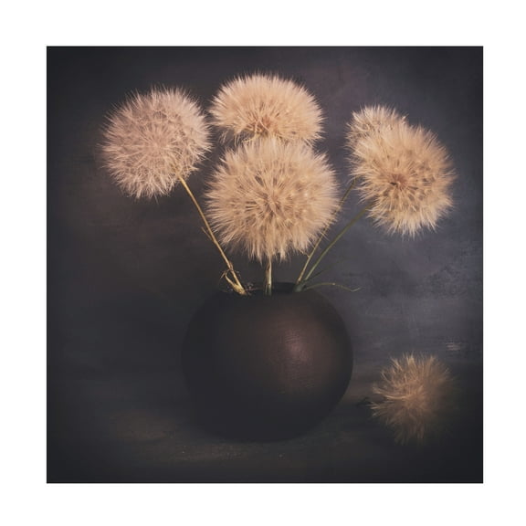 Cicek K?ral 'Calm 2' Canvas Art