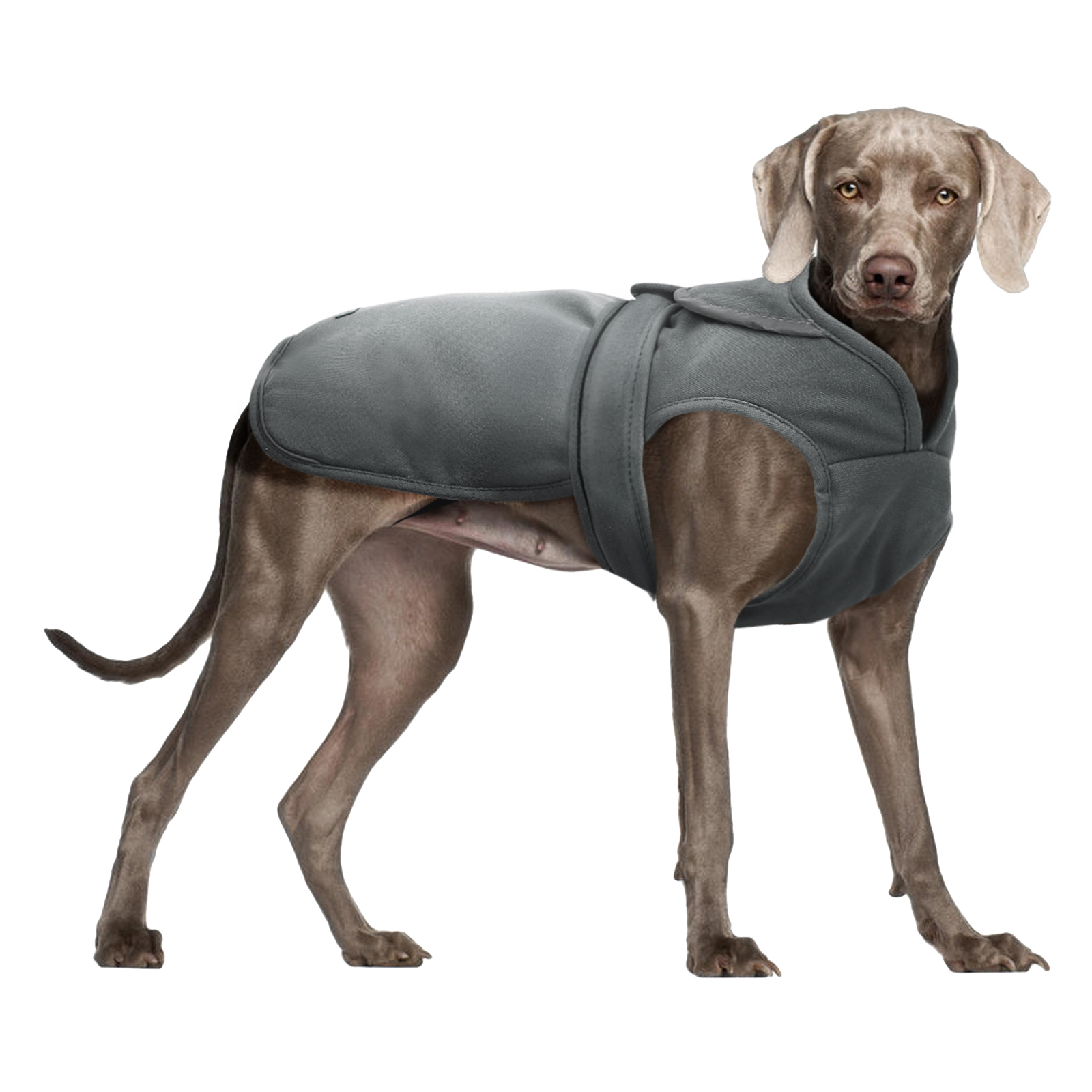 Medium Black FouFou Dog 62563 Bodyguard Protective All-Weather Dog Pants