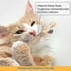 thumbnail image 3 of 6-pack Natural Matatabi Silvervine chews, cat chews, cat toys, great gift for kittens, 3 of 5