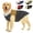 Khaki&Grey, variant on MAMORE Dog Coat,Dog Jacket for Winter & Cold Weather Ultra Thick Plush Lining with Storage Pocket(Red&Blue,XL)