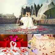 Naler 2000 Pcs Artificial Silk Rose Petals Flowers for Valentines Day Wedding Party Decor, Dark Red