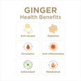 GIN GINS Super Strength Natural Ginger Candy by The Ginger People