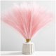 thumbnail image 1 of Hierba de pampa artificial Serwalin, 45 cm, rosa, 6 unidades, 1 of 3