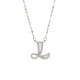 thumbnail image 2 of Collar con colgante de tu nombre, mi apellido y 26 palabras en inglés para hija., 2 of 3
