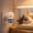 Cat, variant on Pet Plug In Calming Diffuser Kit, 1 Diffuser Unit with 2×48ml Refills, Continuous Release Soothing Device for Pet Stress Reduction Household Indoor Use