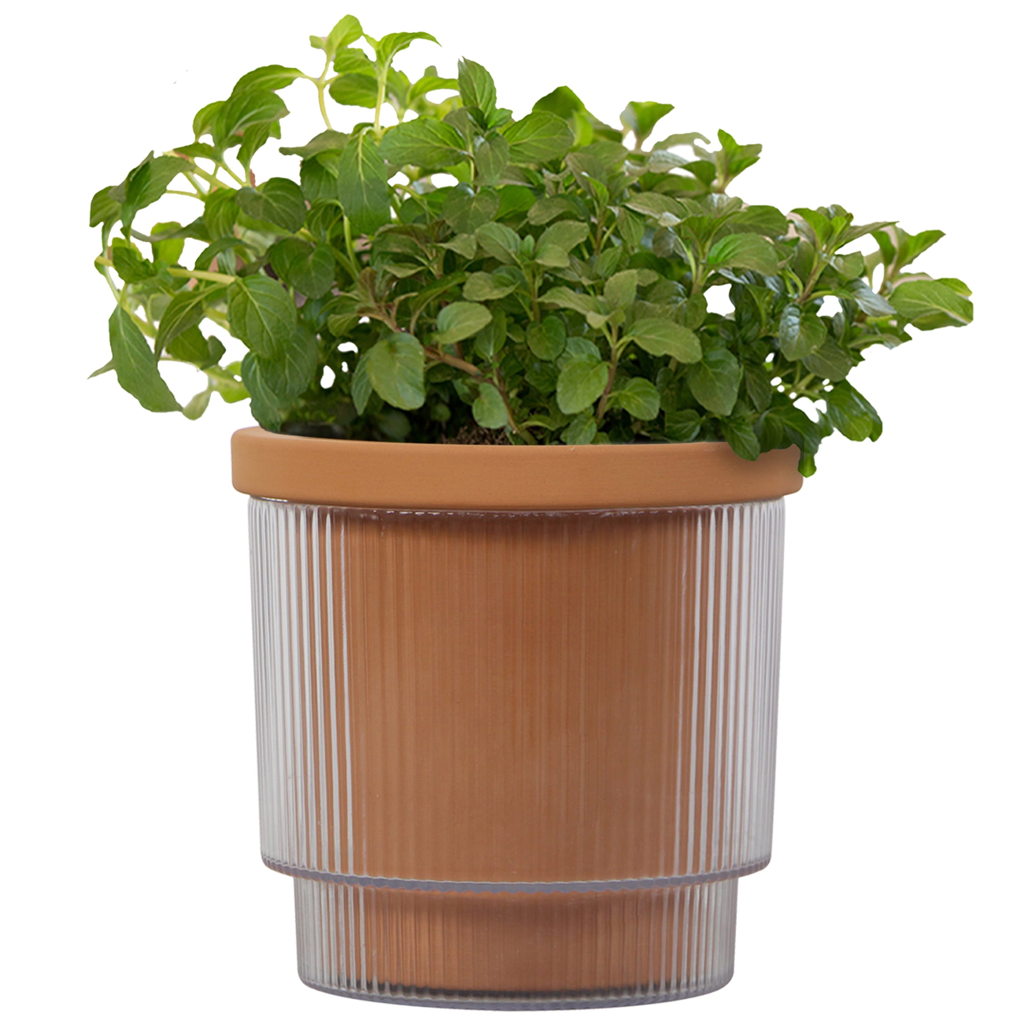 Mainstays 4in Aquaterra Self Watering Planter