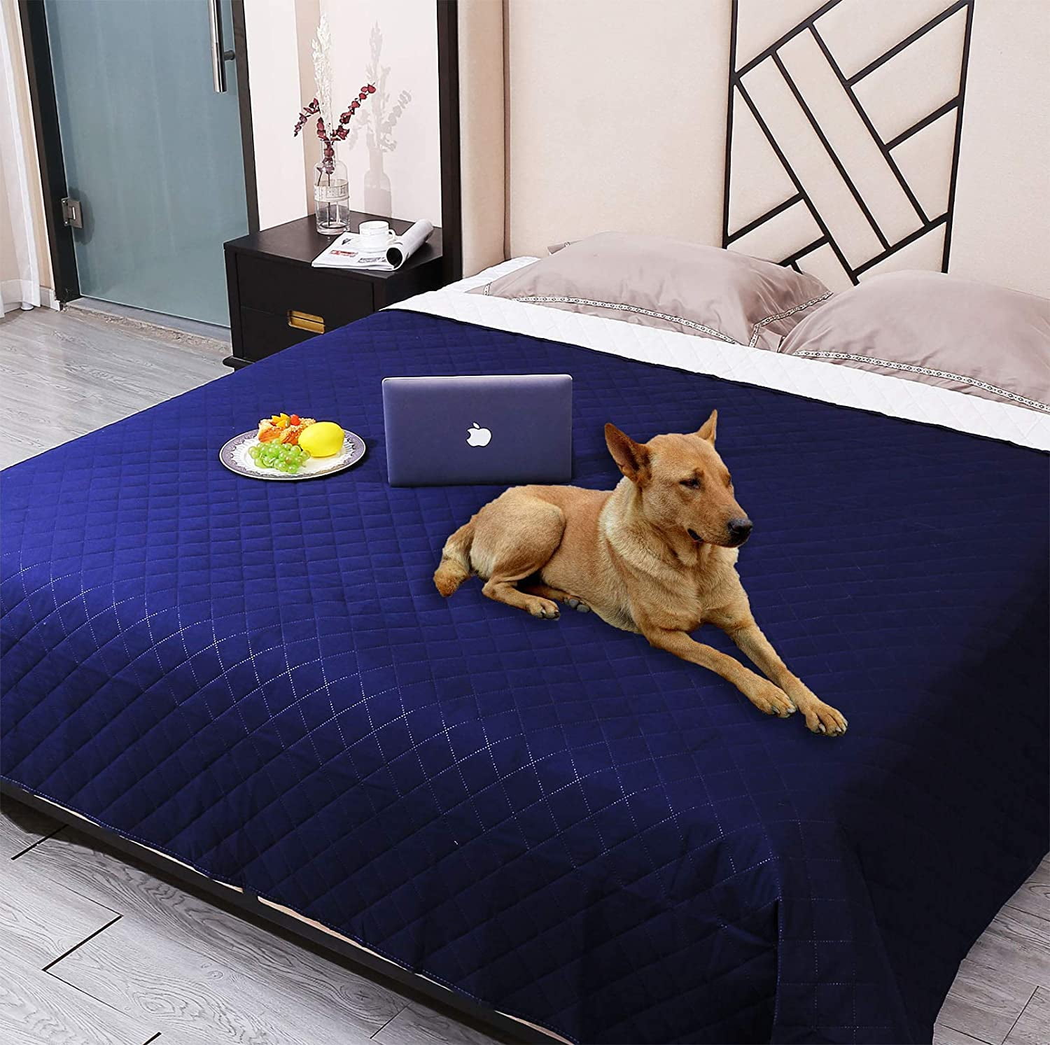 couch cover dog bed