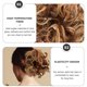 thumbnail image 3 of unbranded Extensión De Marrón Para Moño Con Elástico Para Peinados, 3 of 5