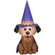 thumbnail image 1 of Perro de bruja inflable para Halloween de 122 cm - decoración Gemmy, 1 of 6