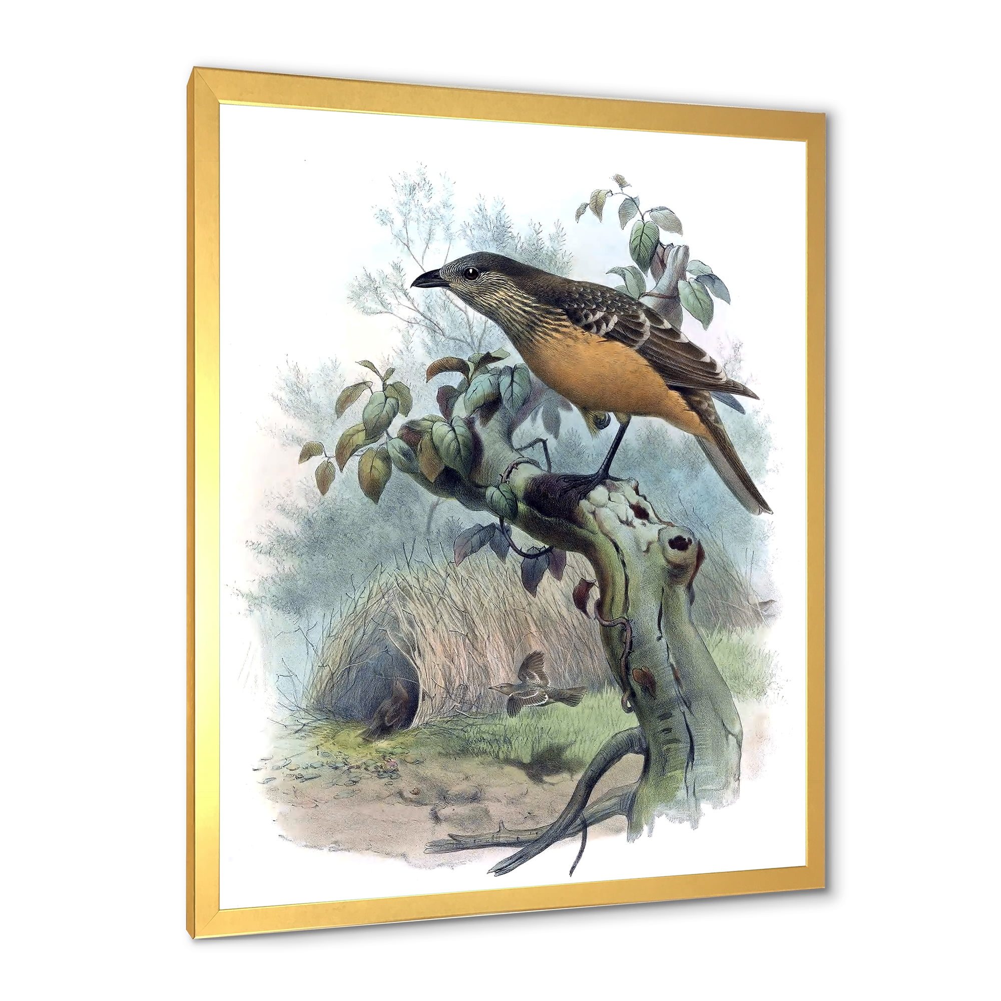 Designart 'The Paradise Birds on a Tree Branch' Traditional Framed Art Print