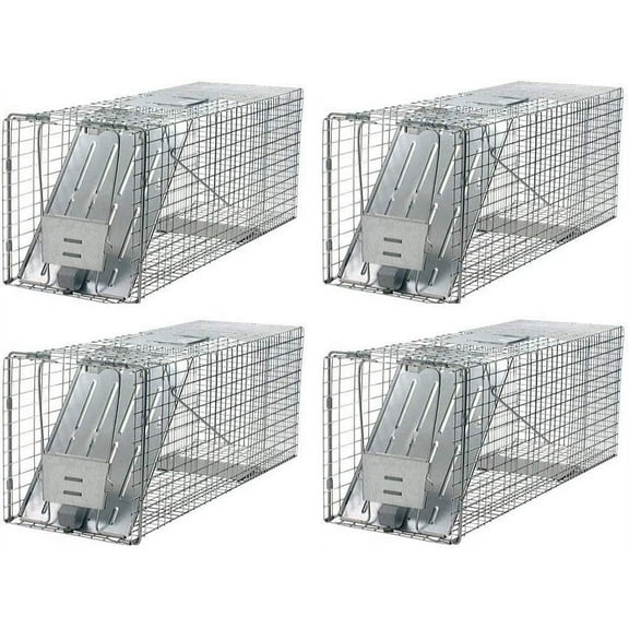 Havahart 1079 Large 1-Door Humane Animal Trap for Raccoons, Cats, Groundhogs, Opossums Pack of 4