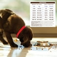 thumbnail image 6 of Holistic Select Natural Dry Dog Food, Chicken Meal & Rice Recipe, 30-Pound Bag, 6 of 8